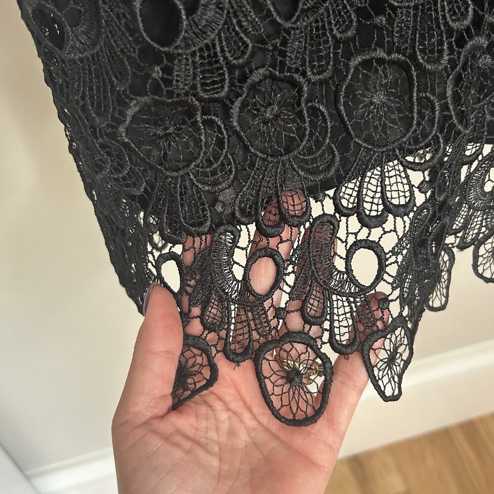 Black Lace Dress LBD Size 4 Sleeveless Sheath Layered Whimsygoth Y2K BB Dakota - Picture 8 of 11